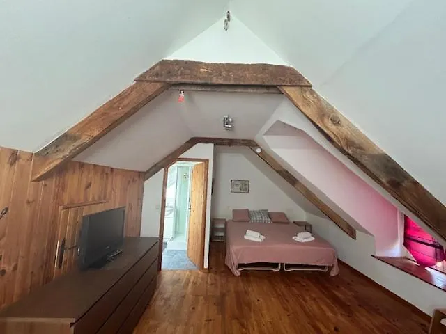 La Sapiniere 4 Villa Plouray Frankrig